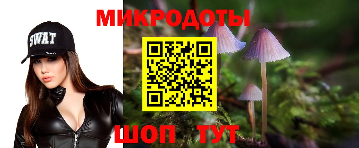 Псилоцибиновые грибы прущие грибы  Вход с VPN  Чебаркуль 